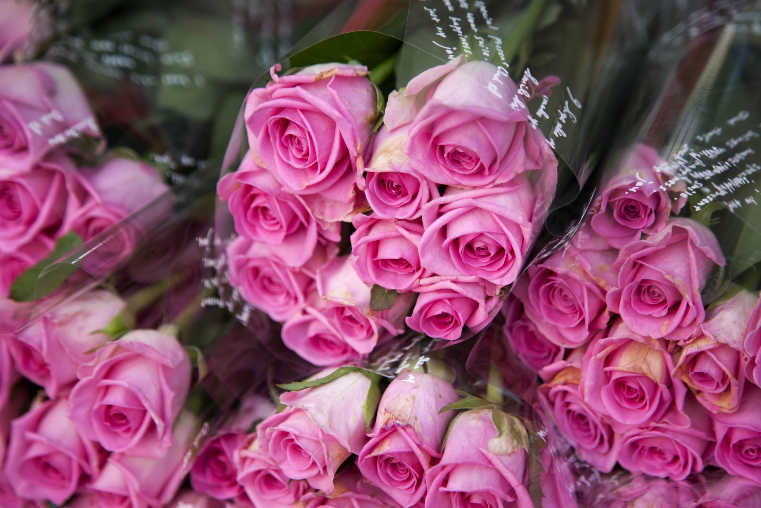 Fresco Flowers - Circular Plastics Alliance