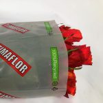 Bloemfolie-scaled