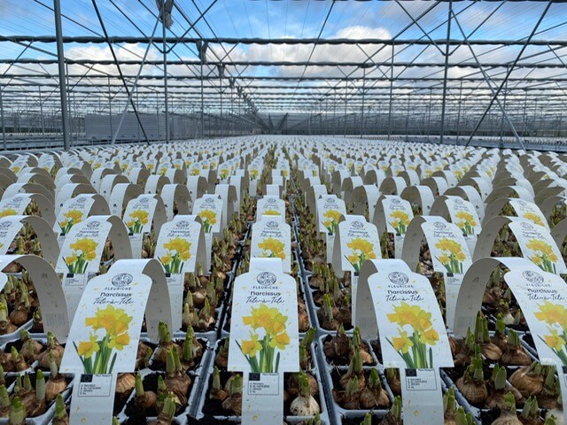 Recycled labels van der Salm horticulture