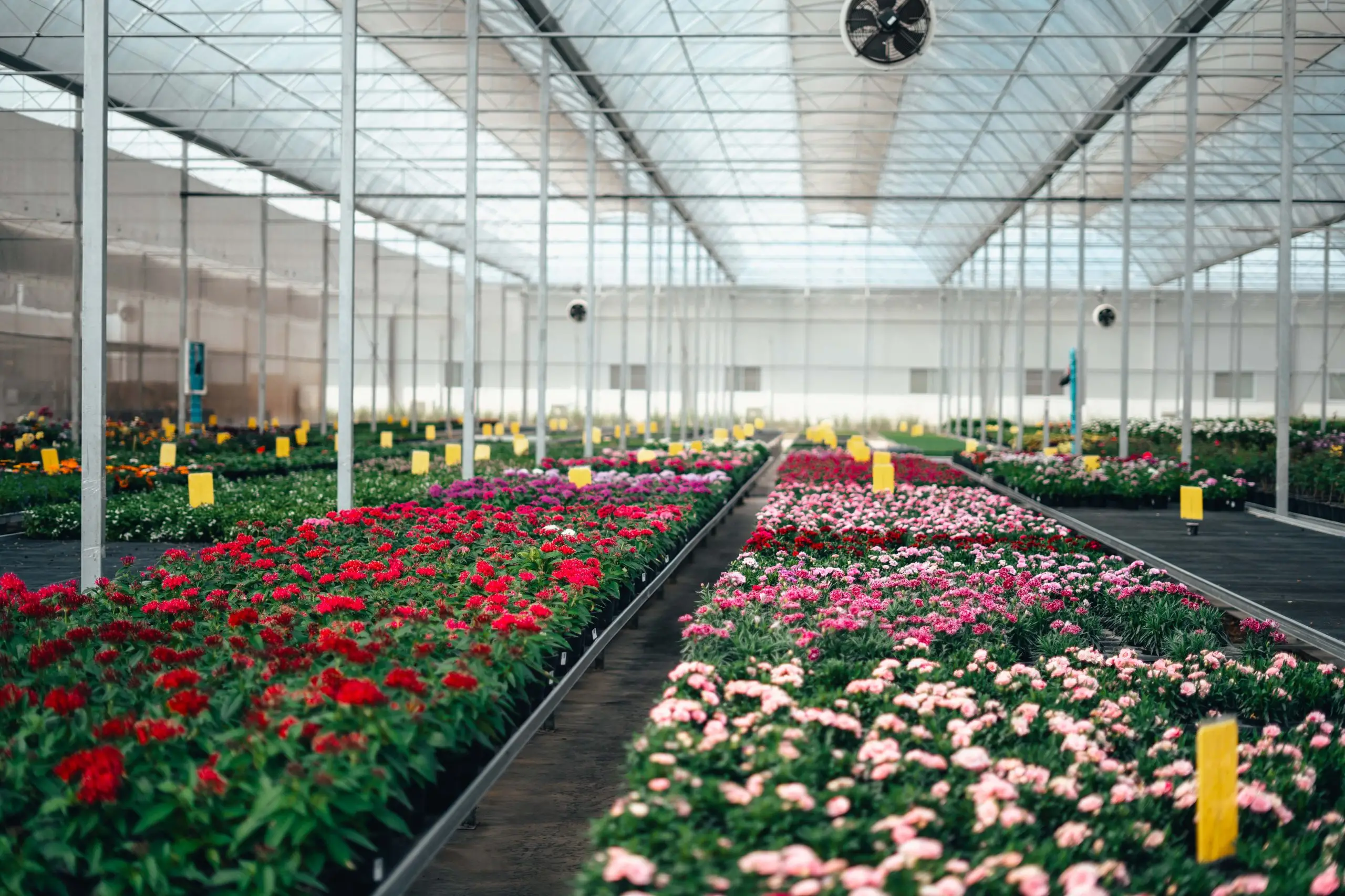 Greenport Aalsmeer - Circular Plastics Foundation